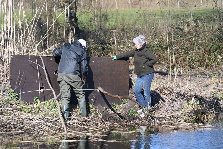 Ben Kremer en Ankie Muller monteren de aanvliegstok van de ijsvogelwand.