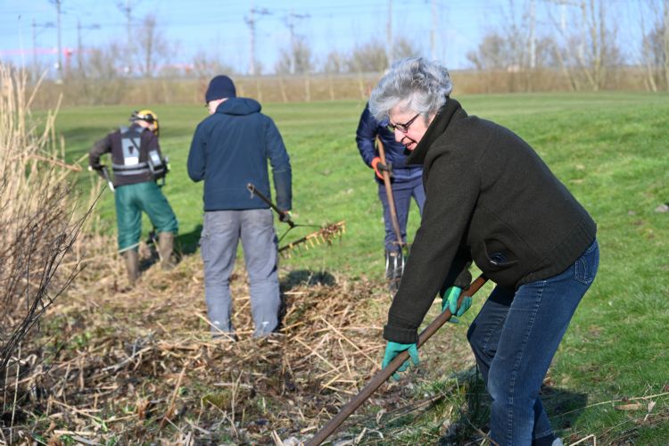 Schoonmaken van de rough van voor naar achter Ankie Muller, Jome Brinkers, Robert Jan de Jong en Mathijs van der Vinne Schoonmaken van de rough van voor naar achter Ankie Muller, Jome Brinkers, Robert Jan de Jong en Mathijs van der Vinne