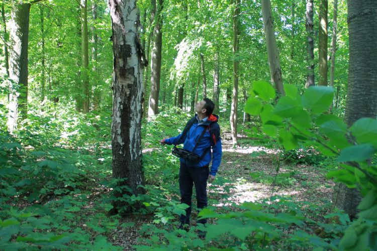 Sander Kristalijn Sander Kristalijn