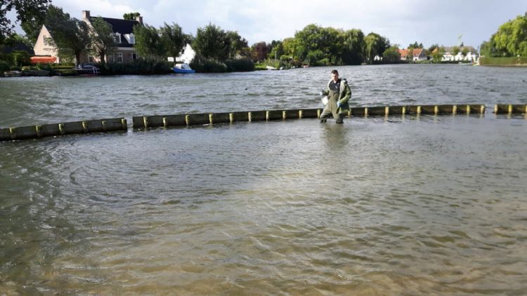 Jiry de Waal Jiry de Waal