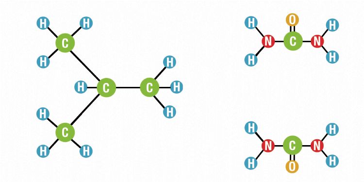 Isodur molecule afbraak.