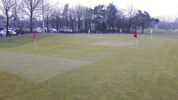 Het proefveld bij dauw. De witte vakken hebben geen behandeling gehad. De overige velden met de behandelingen Dewfree, Dewsmart, sweepen en droogrollen hebben zichtbaar minder vocht. 