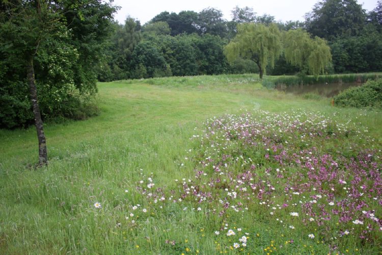 Sinusbeheer op De Palingbeek