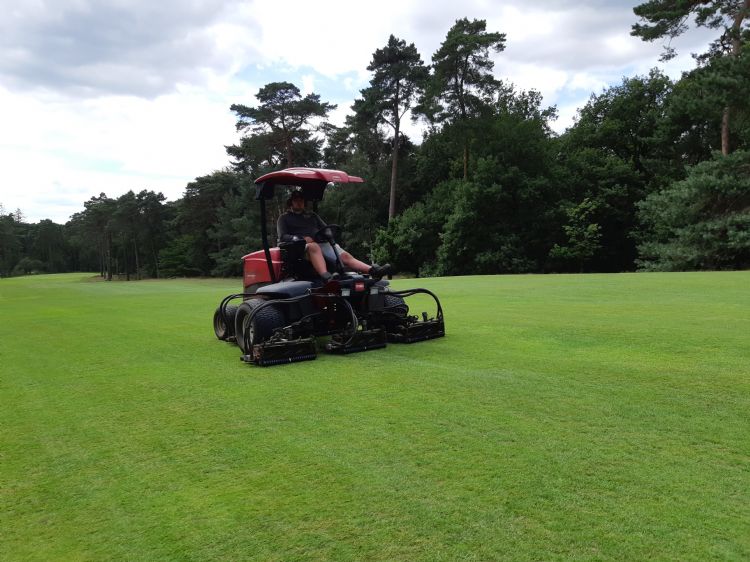 Zonder beregening toch geen gebrek aan gras op de fairway