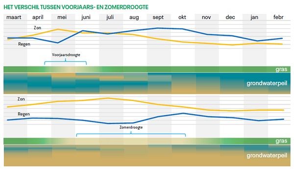 Het verschil tussen voorjaars- en zomerdroogte