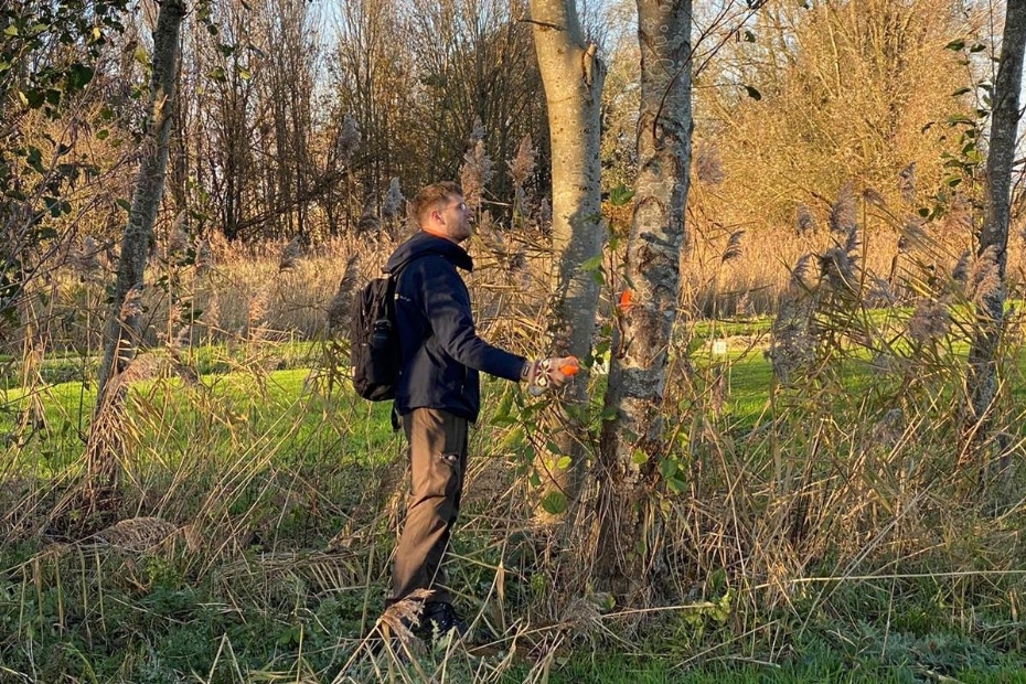 Maarten van Dijk blest op De Hoge Dijk. Bij het blessen hebben de kleuren verschillende betekenissen: oranje wordt vaak gebruikt voor kap, blauw voor toekomstbomen.