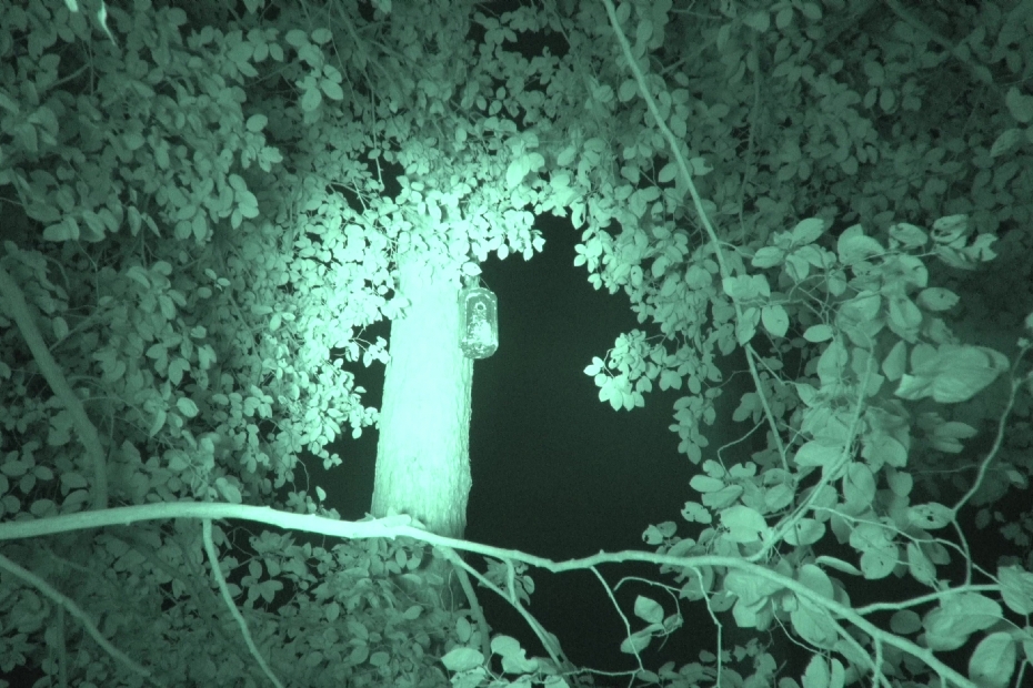 Foto: Zomer Bruijn Foto: Zomer Bruijn